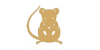 Ratten